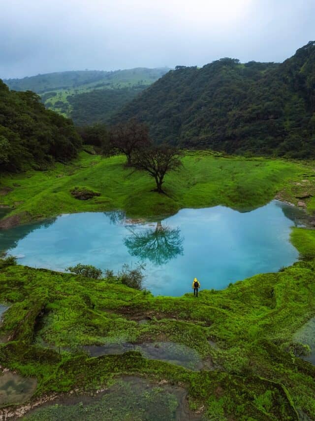 Discover the Magic of Khareef in Salalah, Oman