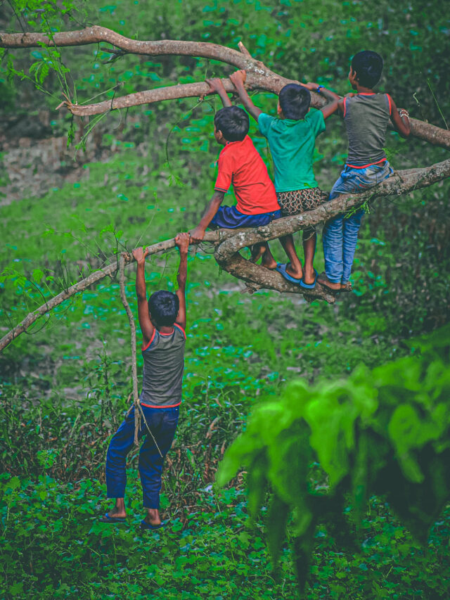 Discover The Beauty of Rural Lifestyle in sunsari Nepal